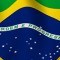 Brezilya Dili - Brezilya bayrağı