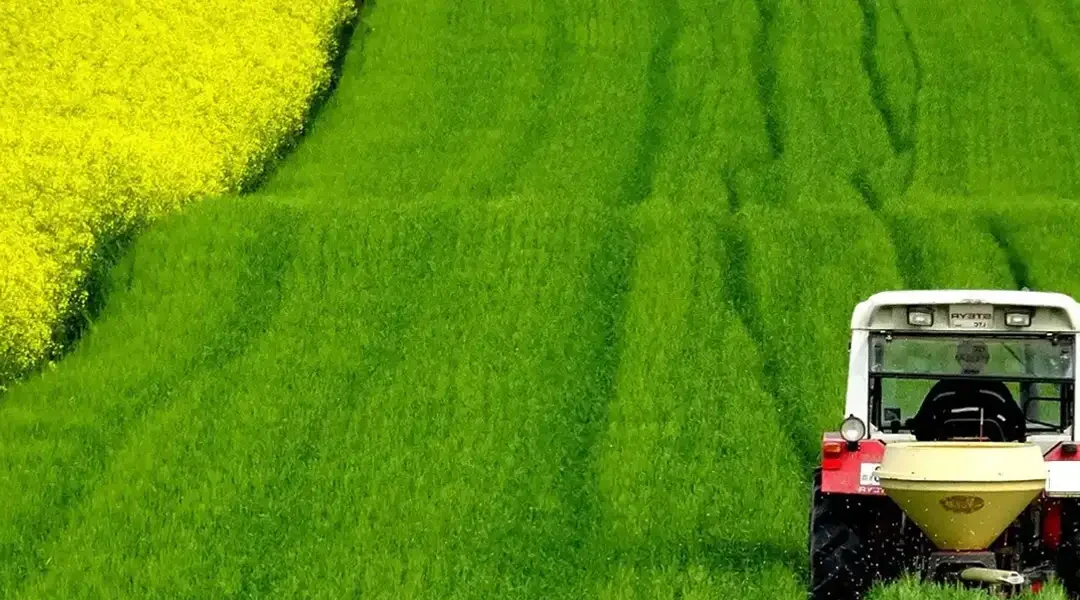 BREZİLYA EKONOMİSİNE YÖN VEREN SEKTÖRLER